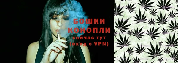 дживик Богородск