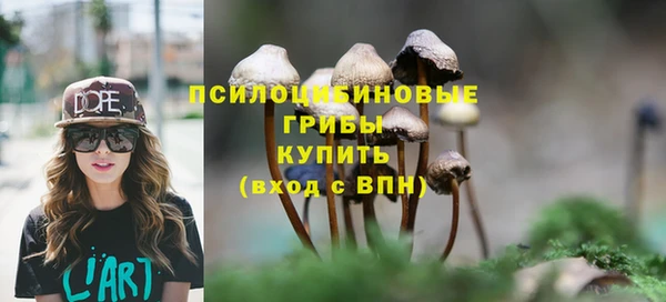 прущие крисы Белоозёрский