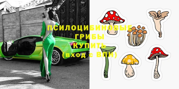 spice Беломорск