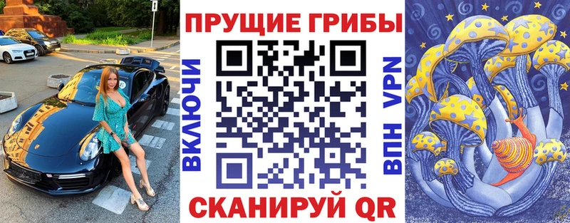 Купить закладки  Миньяр  Псилоцибиновые грибы прущие грибы 
