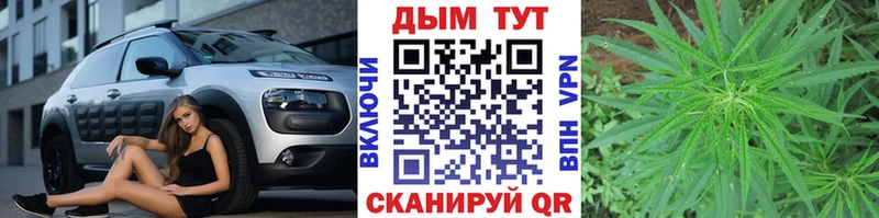 Купить где  Миньяр  Конопля VHQ 